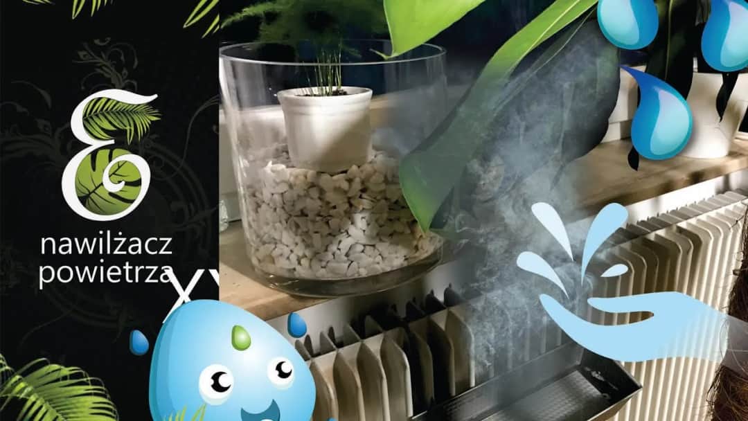 Jak zrobić nawilżacz powietrza z butelki i poprawić jakość powietrza